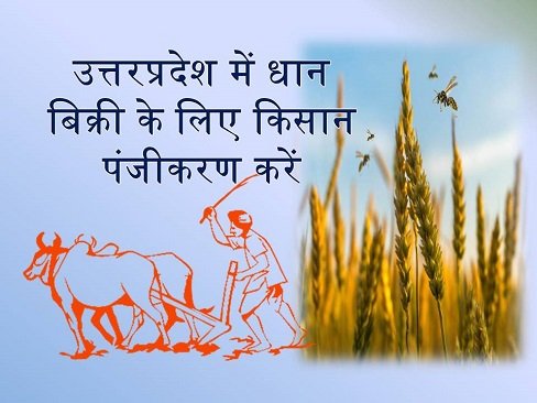 UP Kisan Registration Online Form for Farmers to Sell Paddy of Kharif