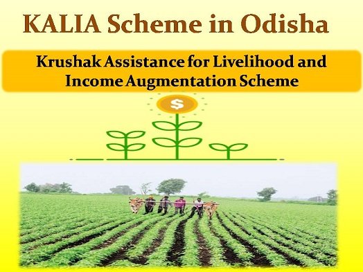 kalia scheme odisha new list