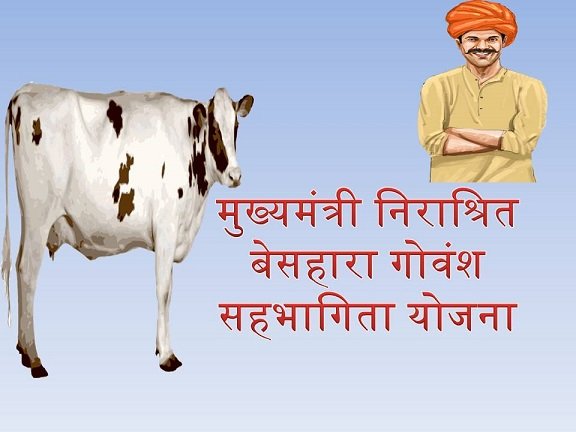 Mukhyamantri Nirashrit Besahara Govansh Sahbhagita Yojana