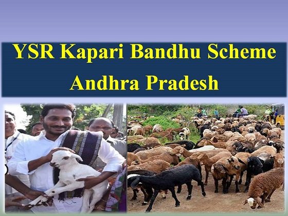YSR Kapari Bandhu Scheme in Andhra Pradesh